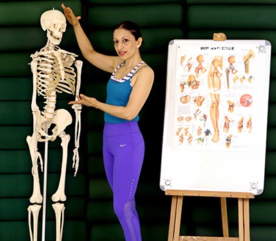 Anatomy Aids