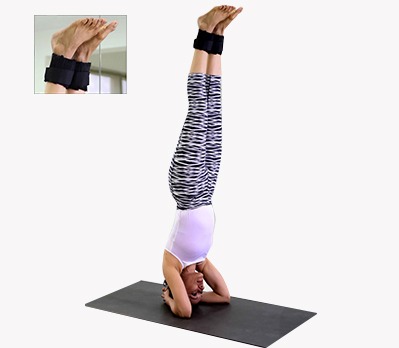 Ankle Weights