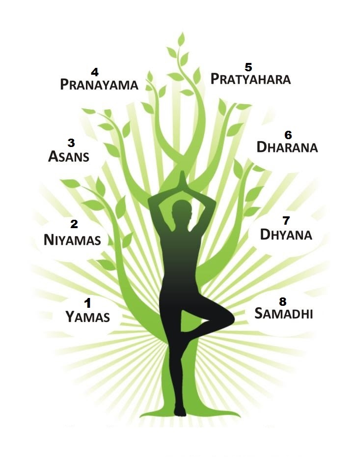 Understanding Samadhi: The Final Limb of Yoga — Alo Moves