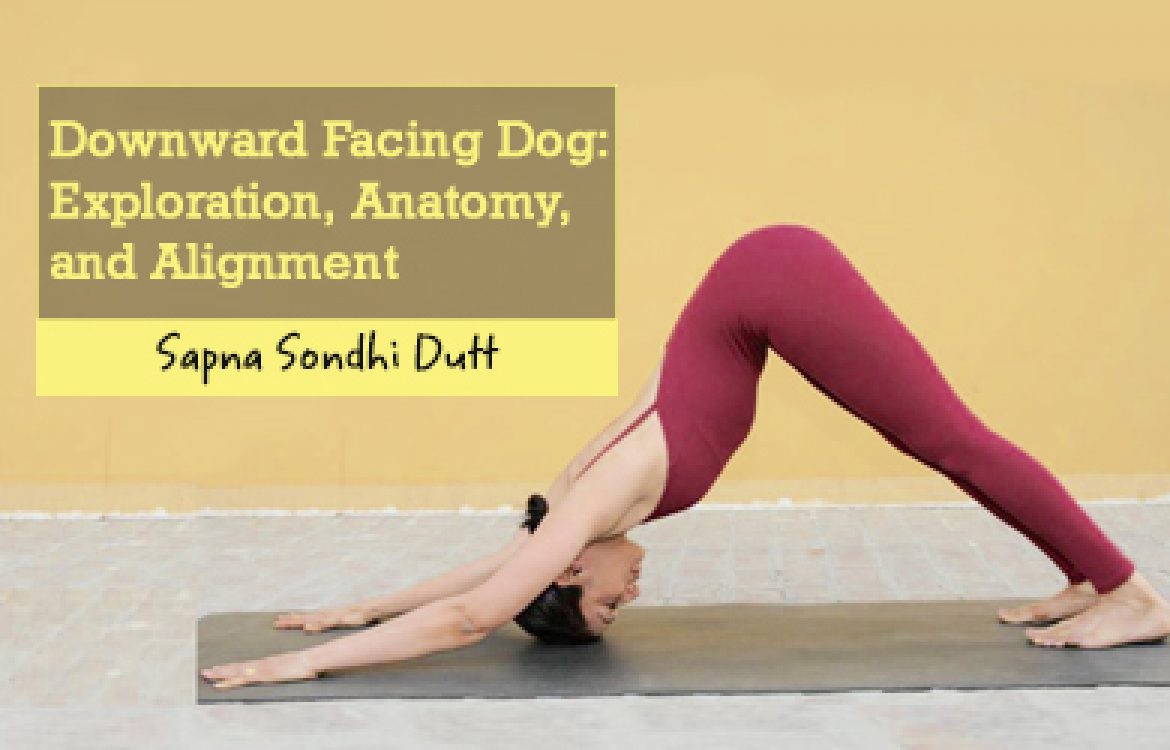 yoga downward dog pose