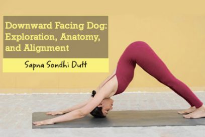 Downward Facing Dog: Exploration, Anatomy, and Alignment
