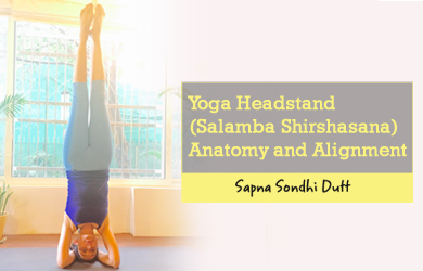 Yoga-Headstand-Salamba-Shirshasana-Anatomy-and-Alignment