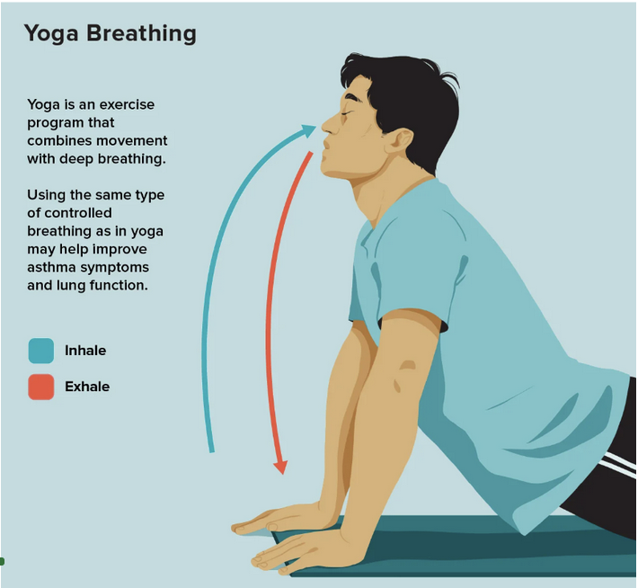 online yoga classes for beginners